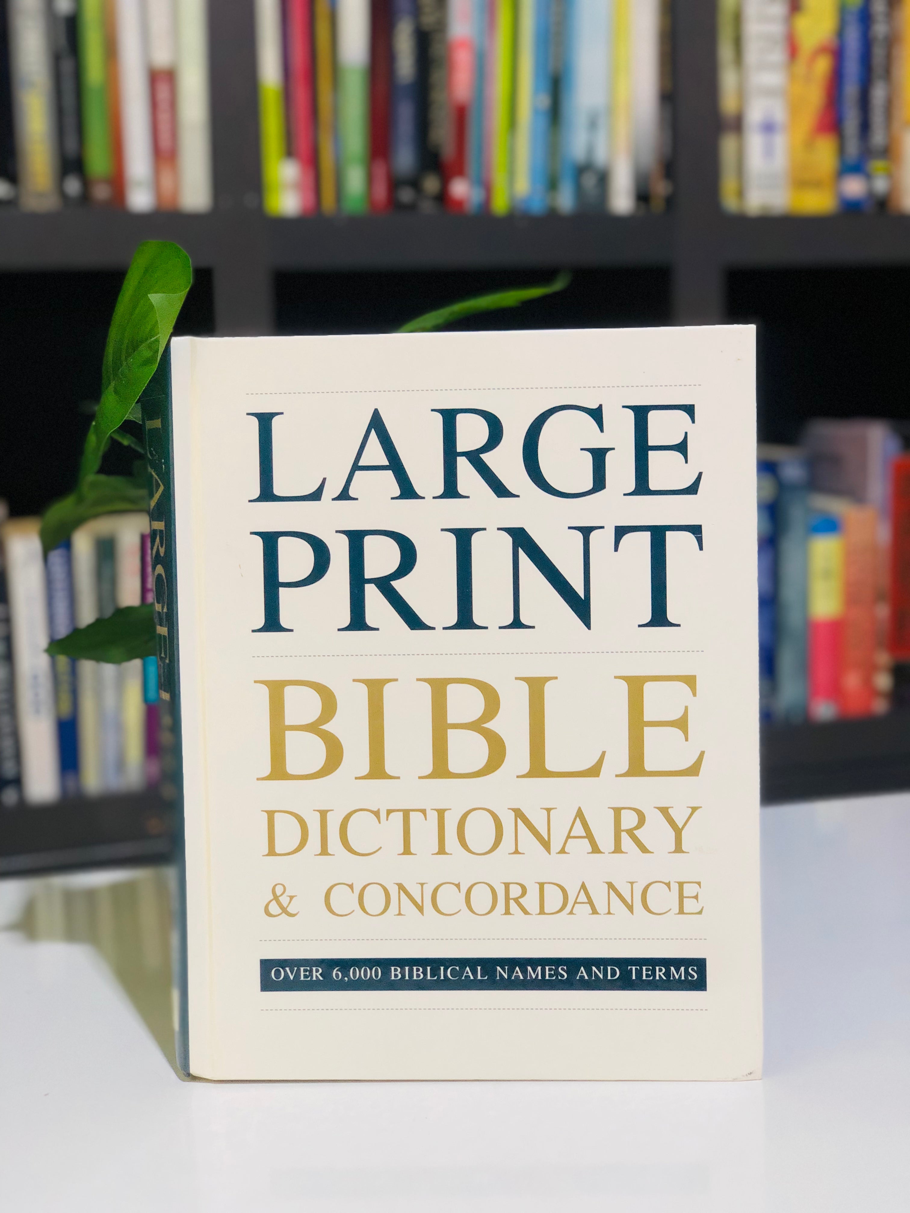 Bible Dictionary & Concordance