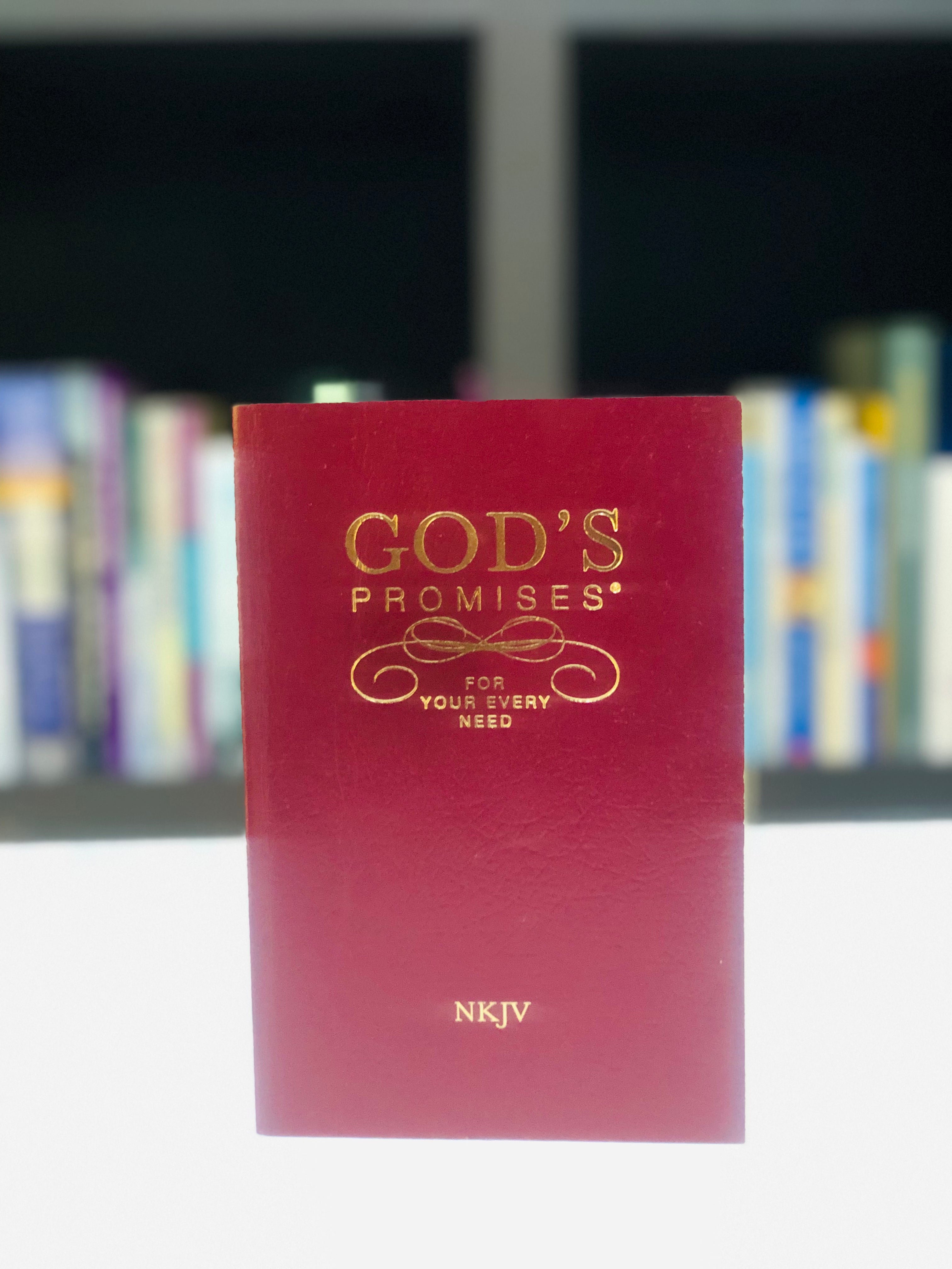 God's promises for your every need