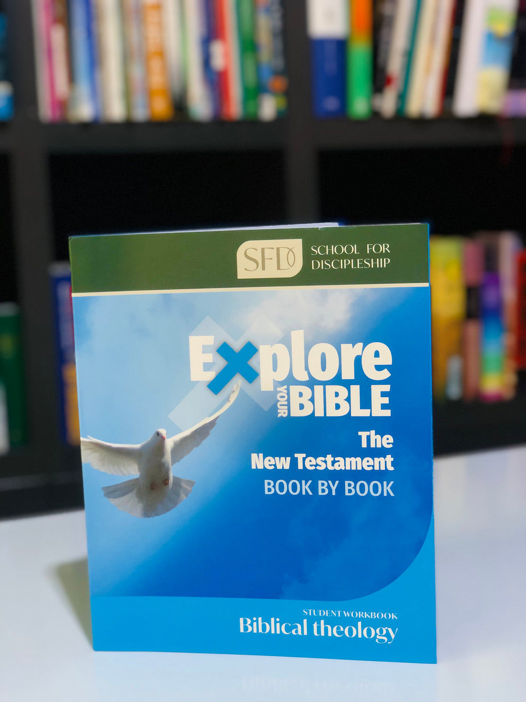 Explore your bible: The New Testament