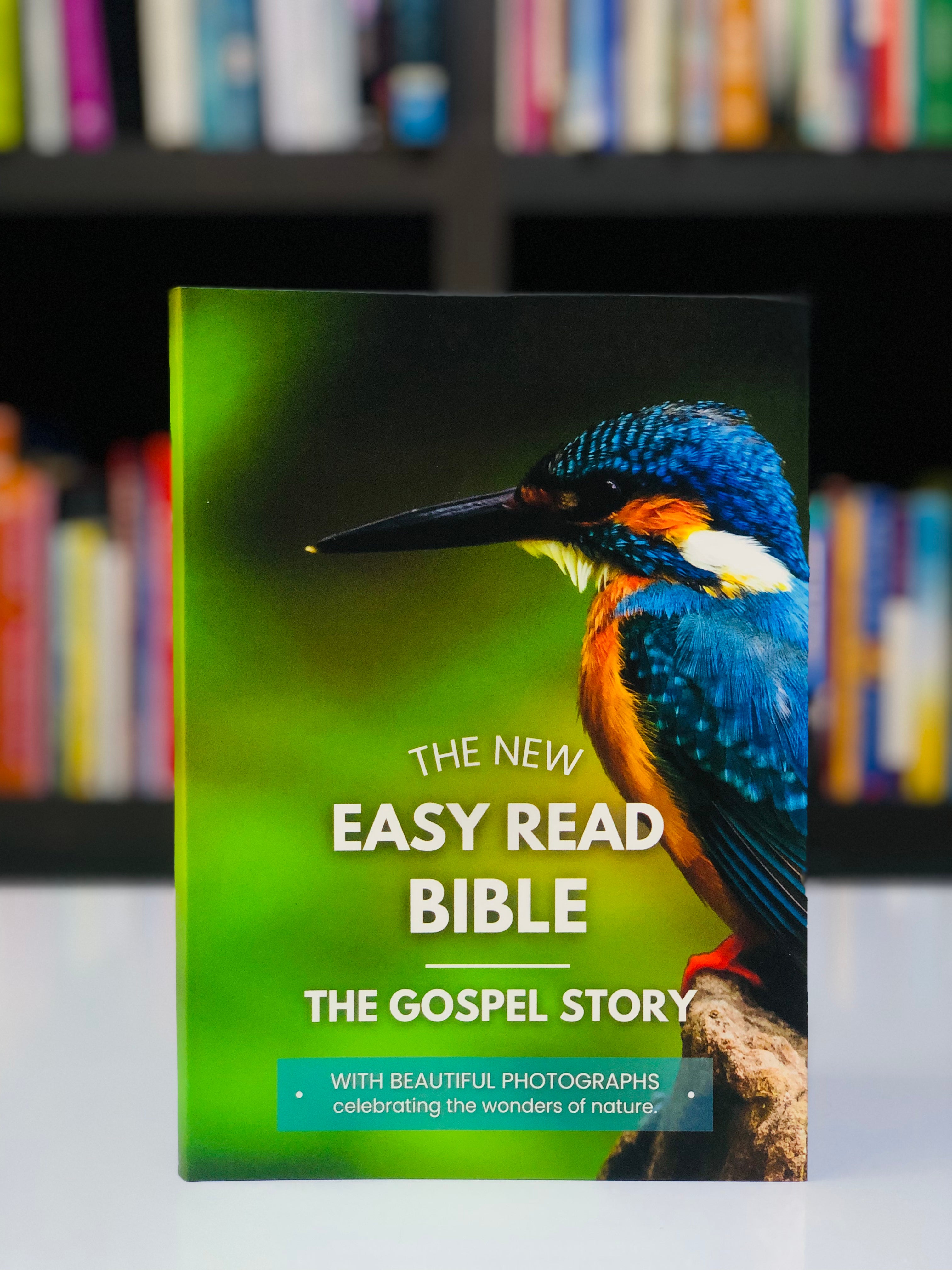 The New Easy Read Bible: The Gospel Story