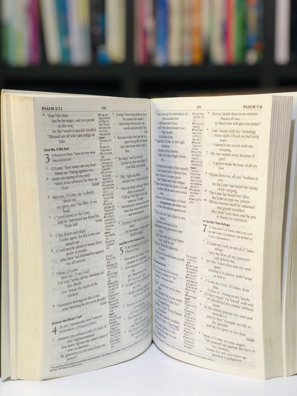The Holy Bible: ESV(black)
