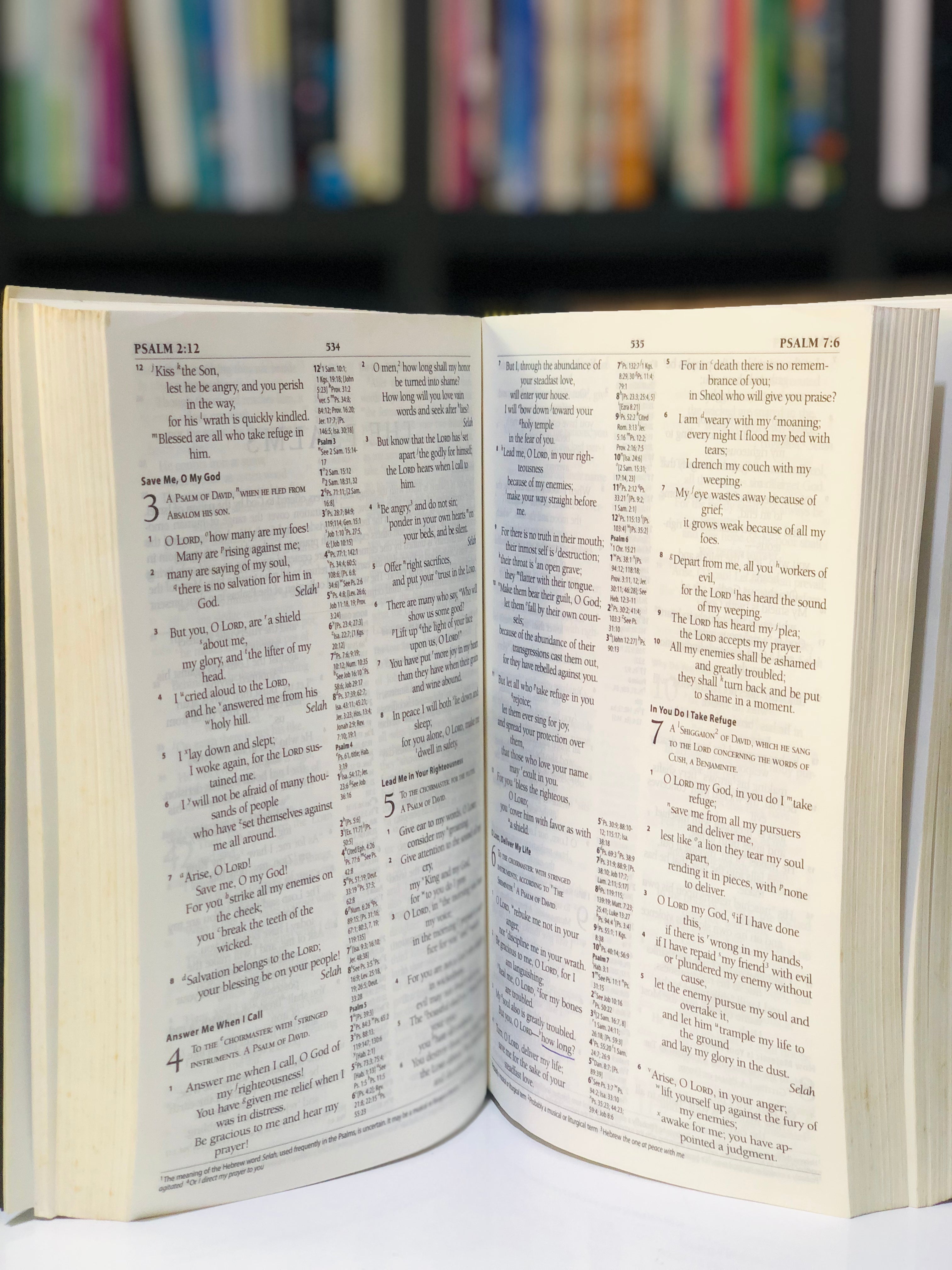 The Holy Bible: ESV(black)