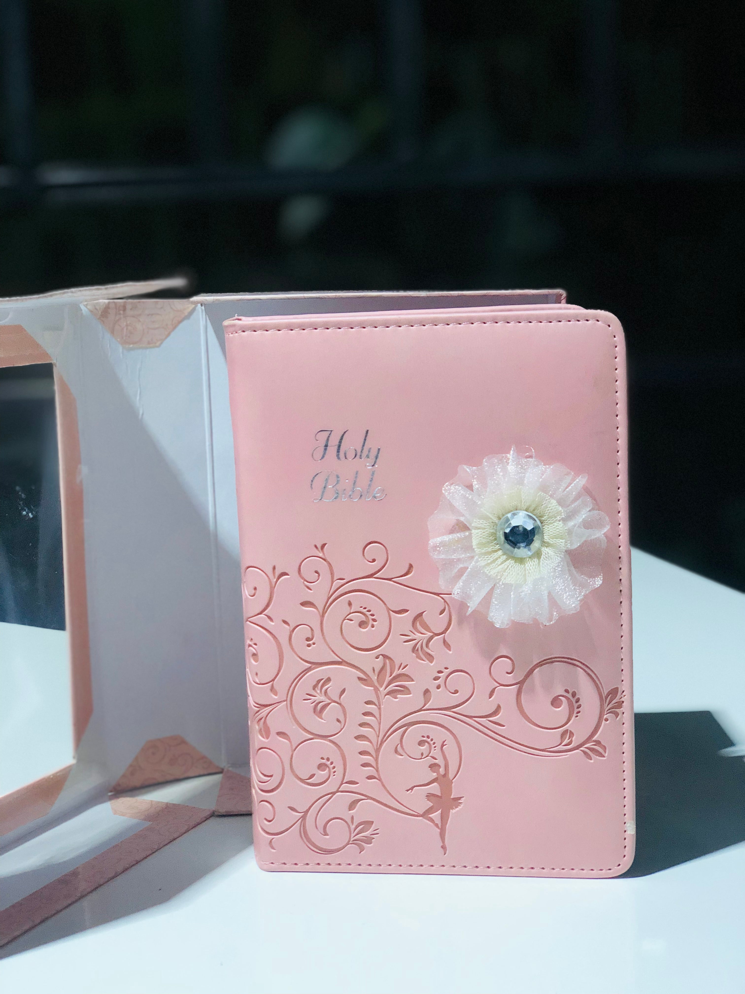 NIV Holy Bible( Pink)