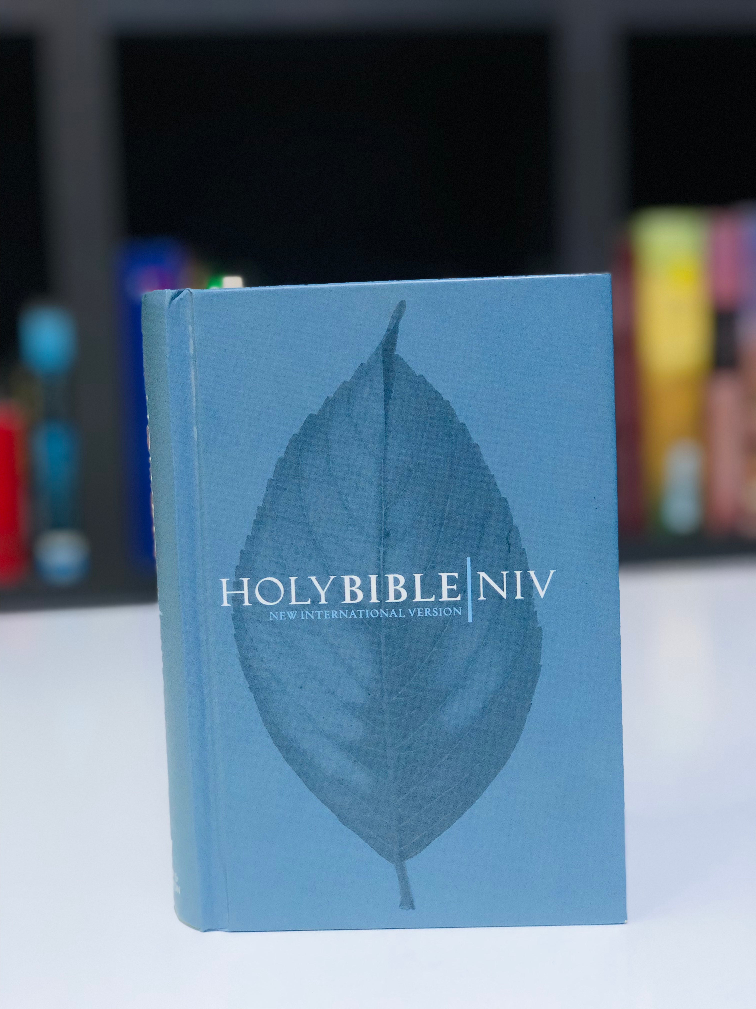 NIV Pocket Slate Hardback Bible