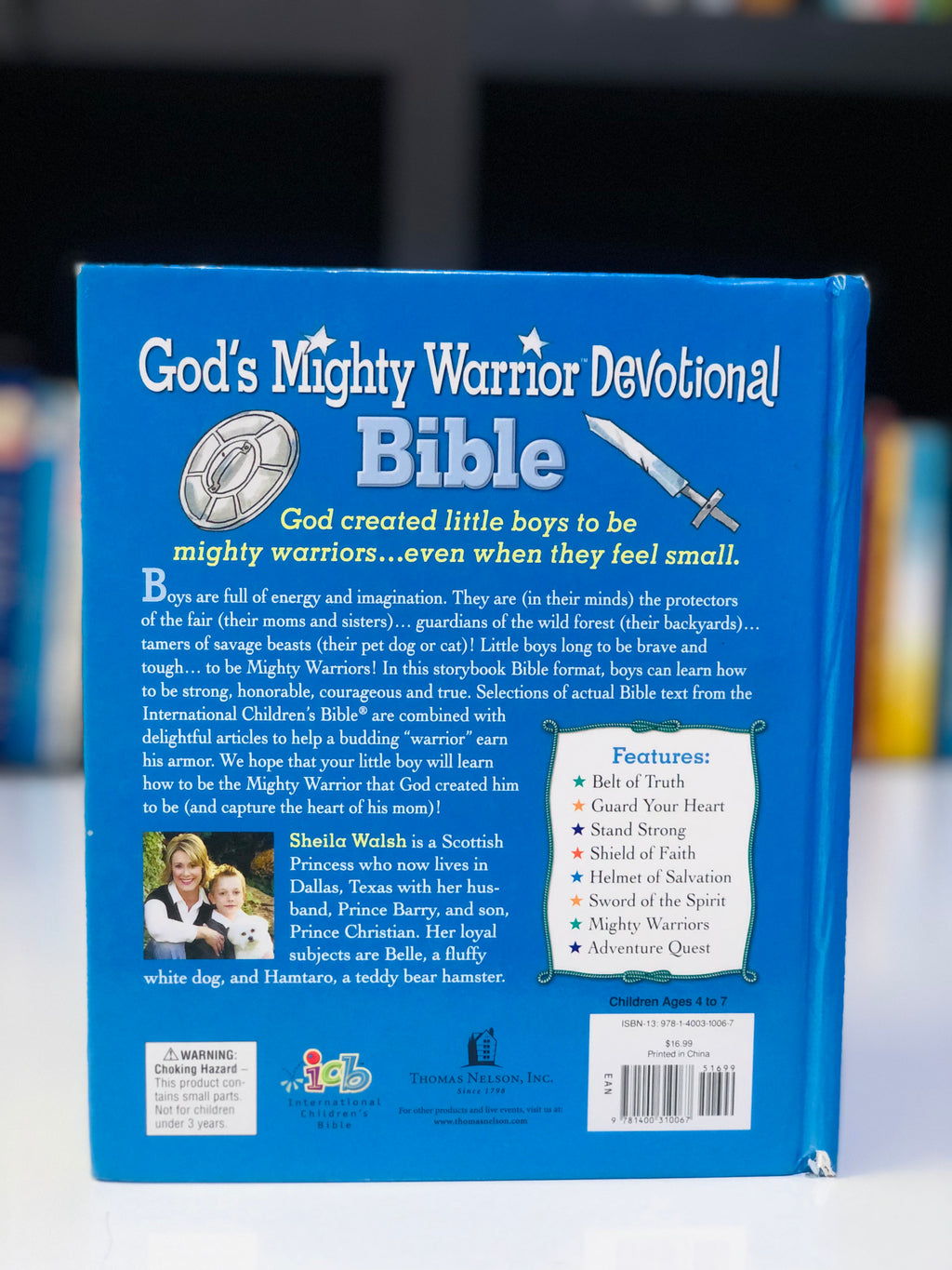 God's Mighty Warrior Devotional Bible