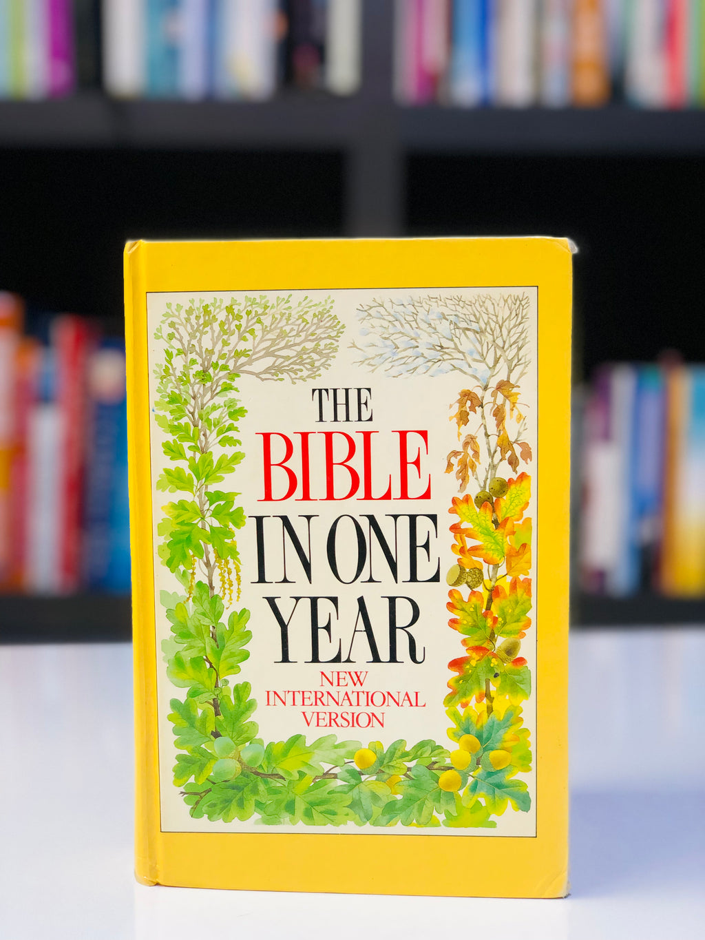 The Bible in One Year (NIV)