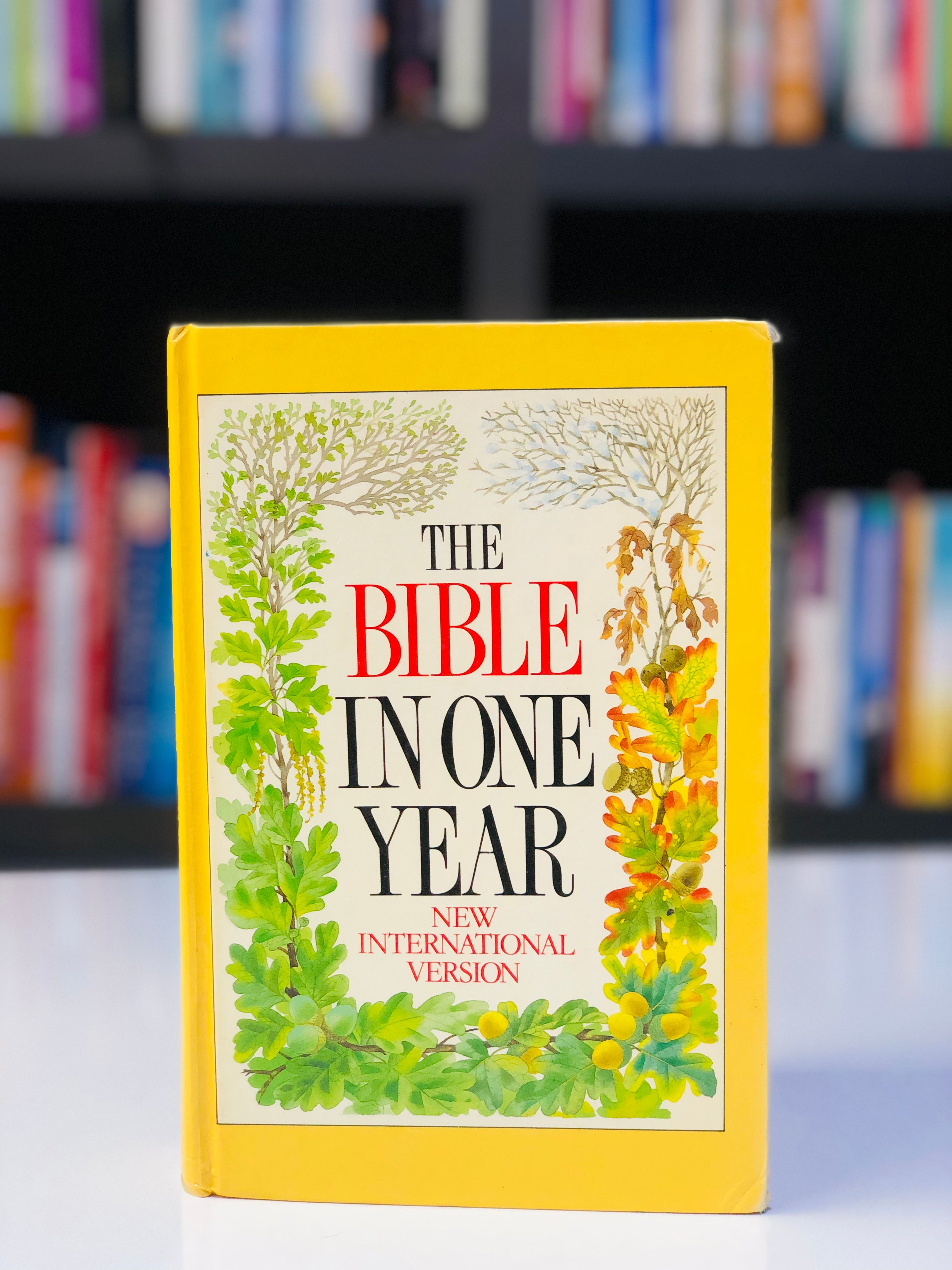 The Bible in One Year (NIV)