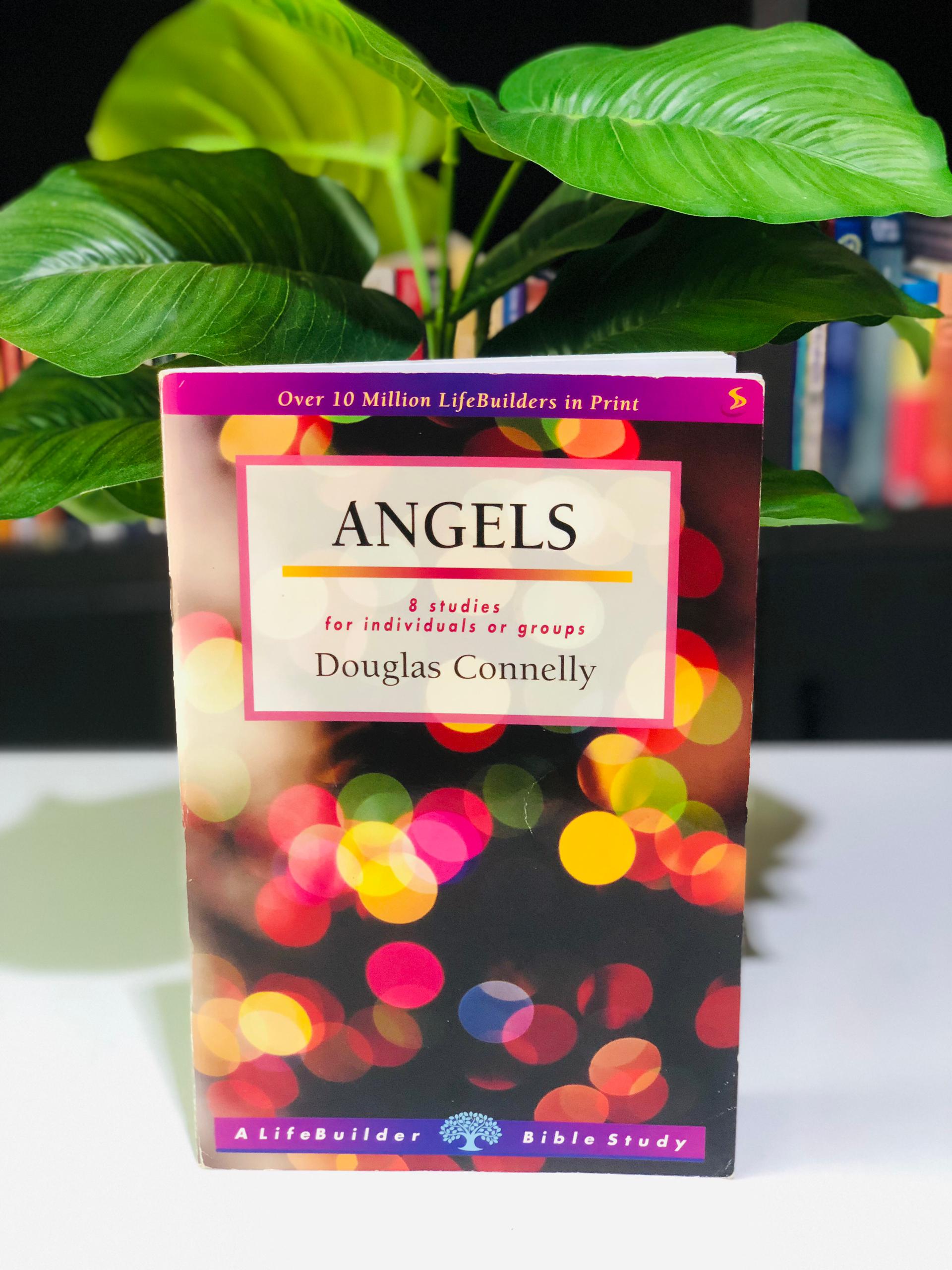 Angels: 8 studies for individuals or groups