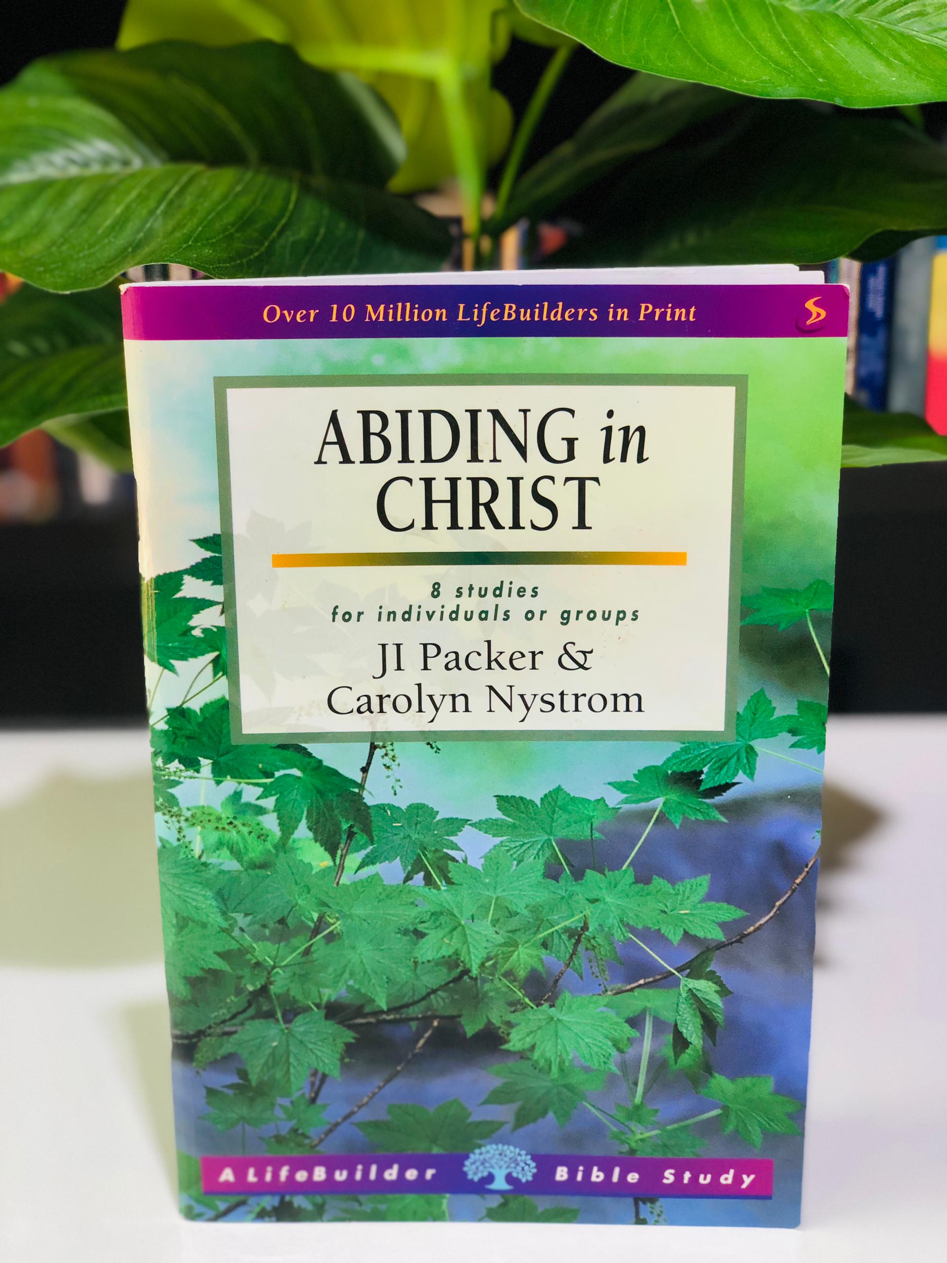 Abiding in Christ
