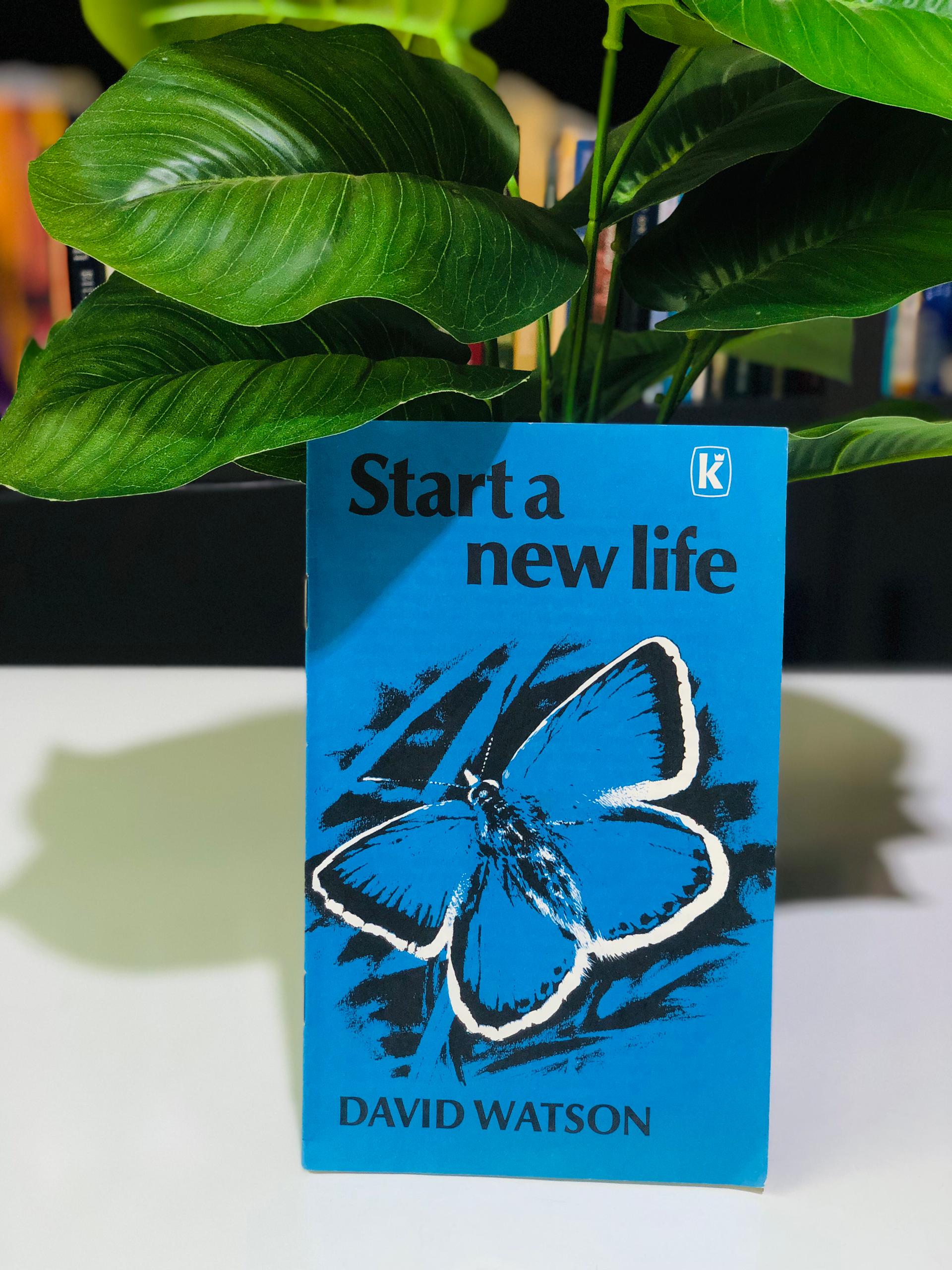 Start a new life