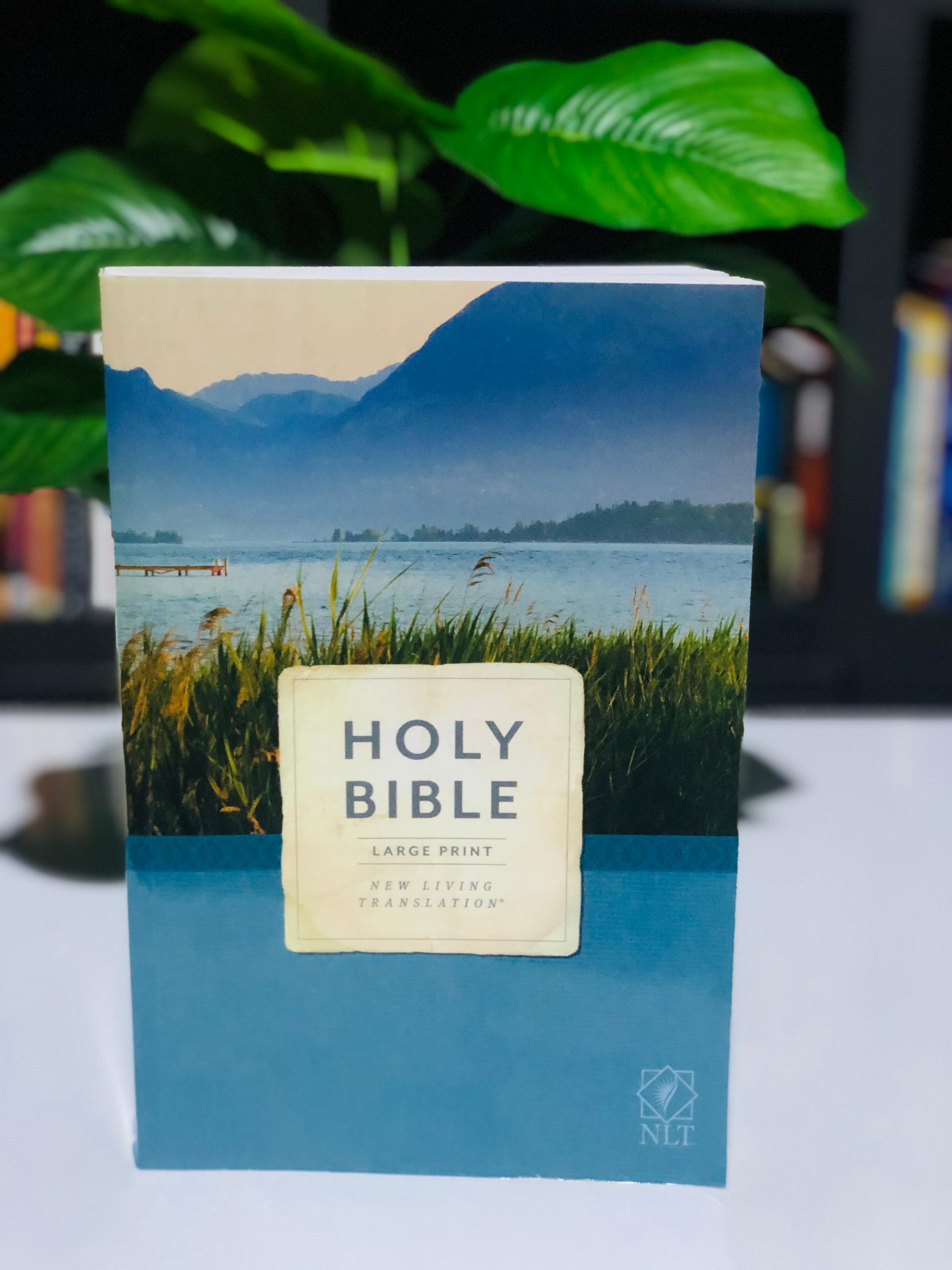 NLT Holy Bible