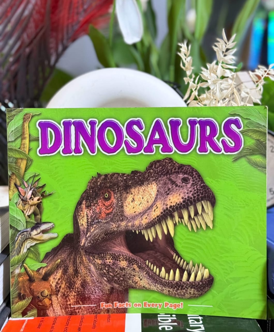 Dinosaurs: Fun Facts on every page