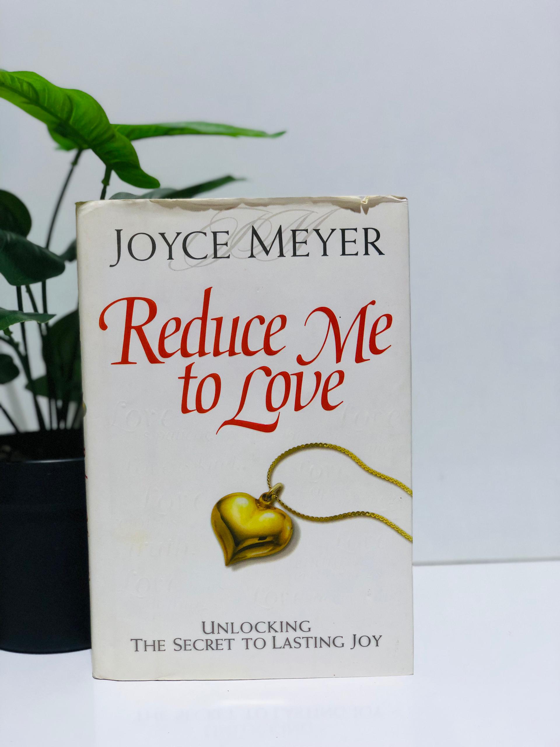 Reduce Me to Love