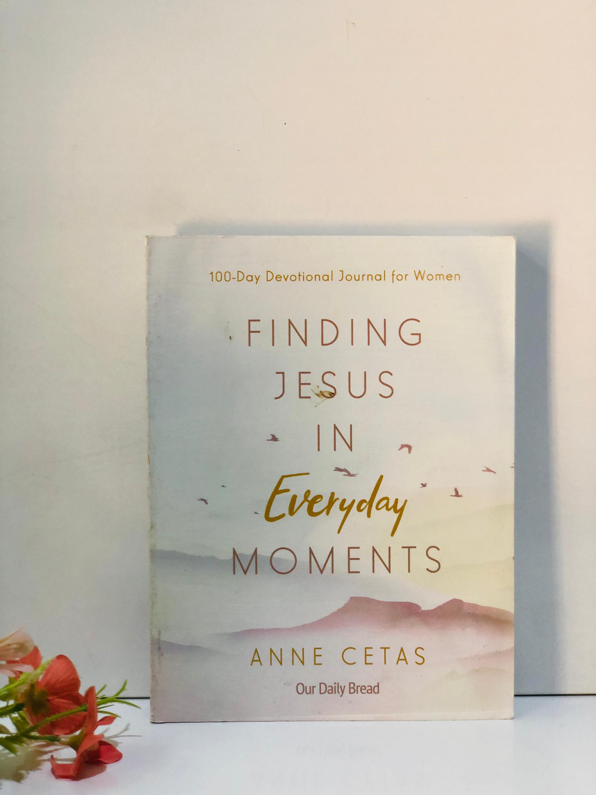 Finding Jesus in everyday moments: 100-day devotional Journal for women