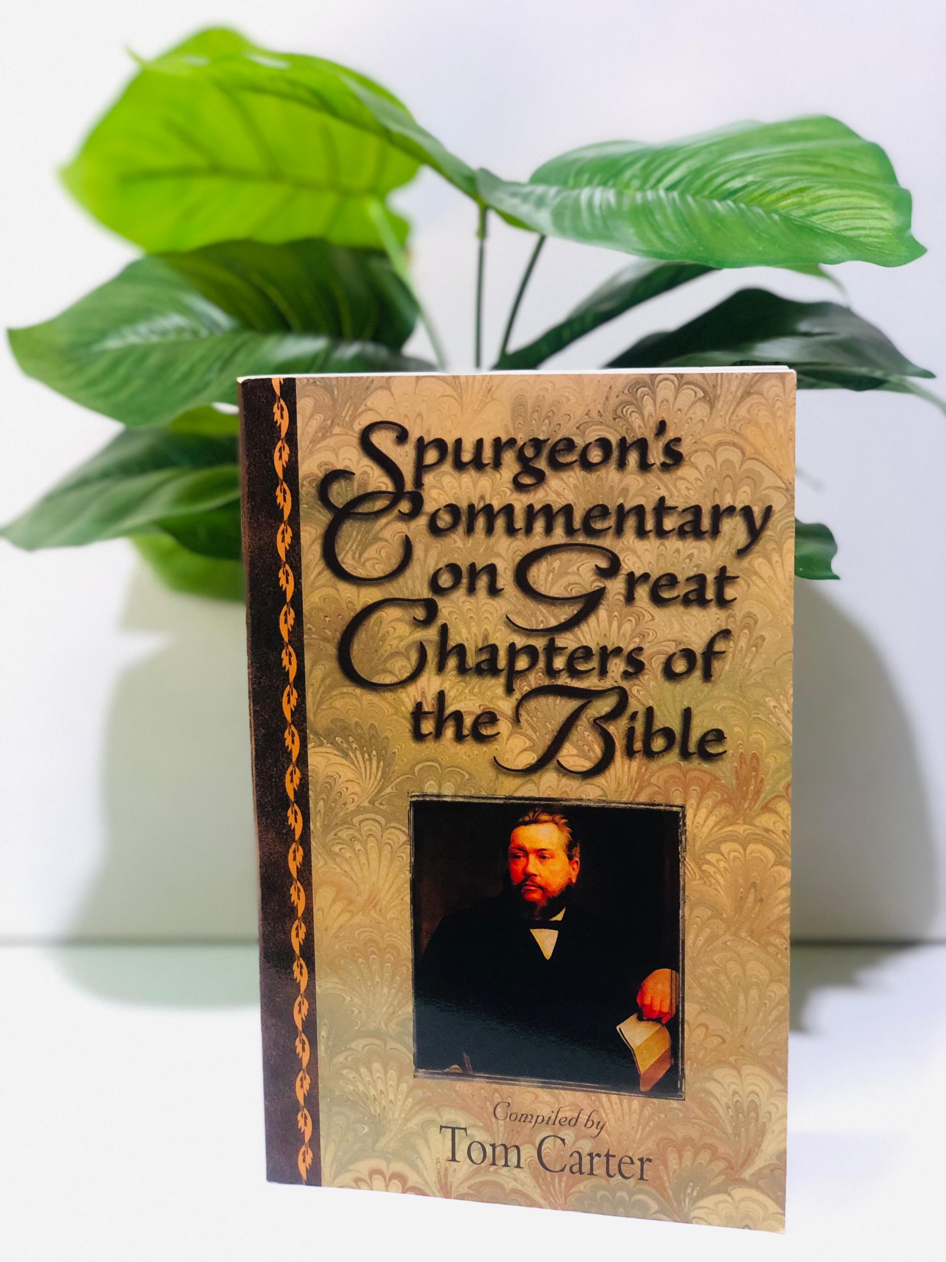 Spurgeon's commentary on great chapters of the bible