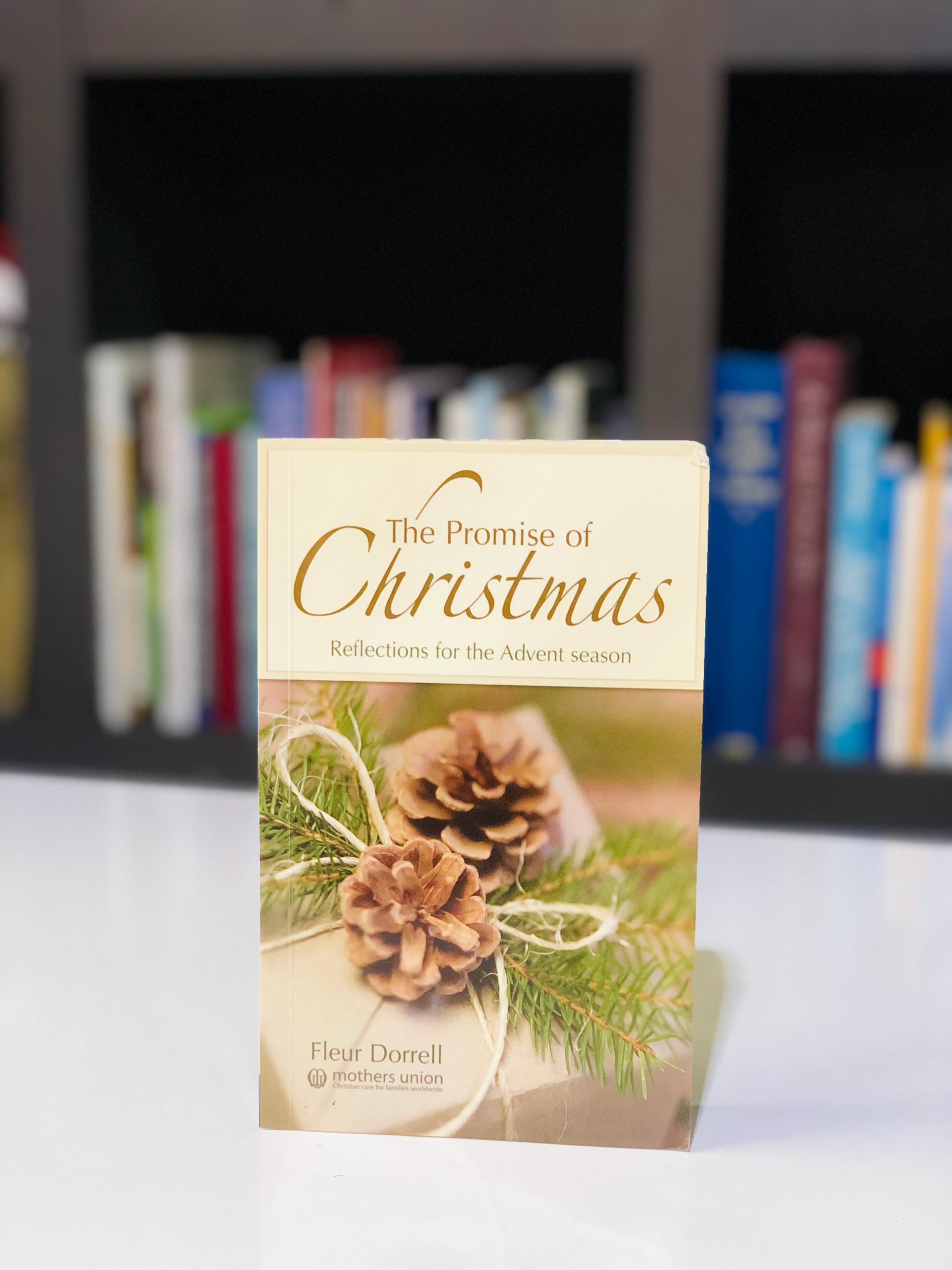 The promise of christmas: reflections for the  advent season