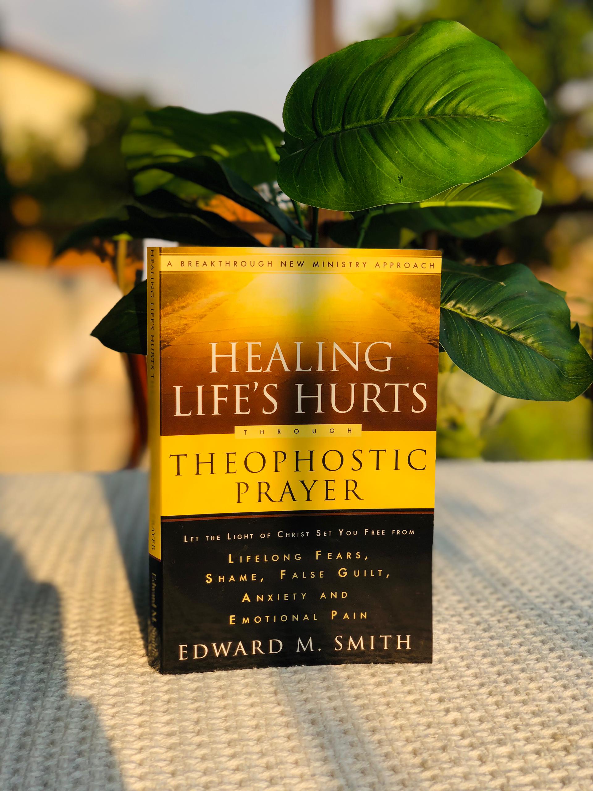 Healing Life's Hurts through Theophostic Prayer