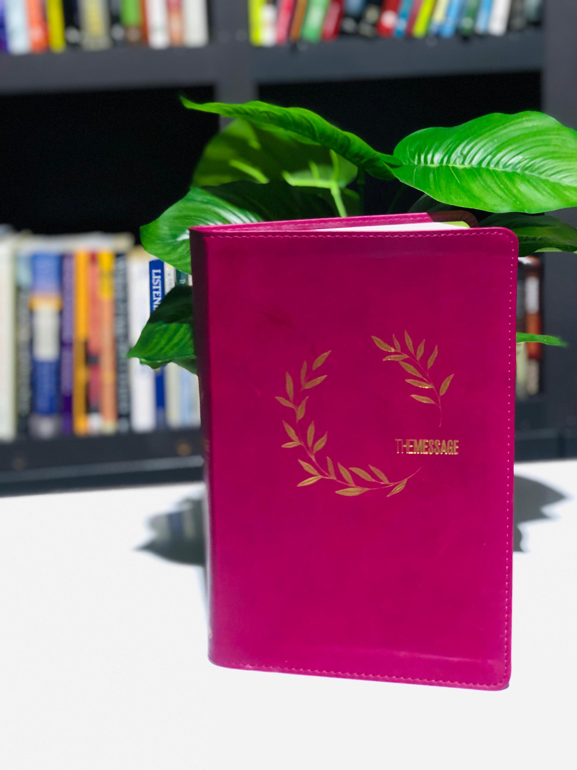 The Message Bible